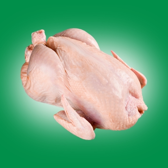 Chicken-Meat-1×1 Chicken-Meat-1x1