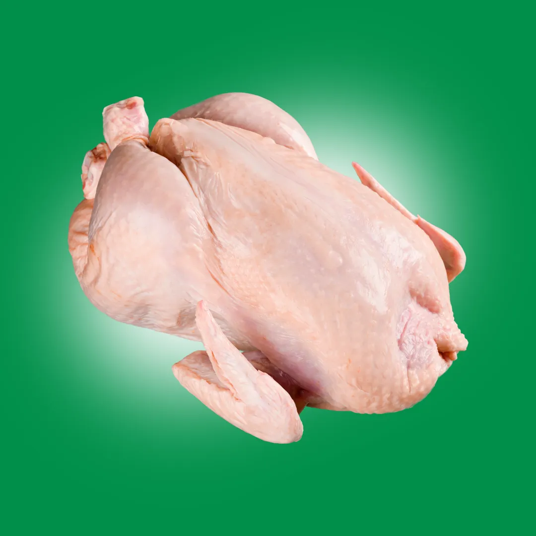 Fresh-Chicken-Meat-1-MEV Trader LTD Bulgaria
