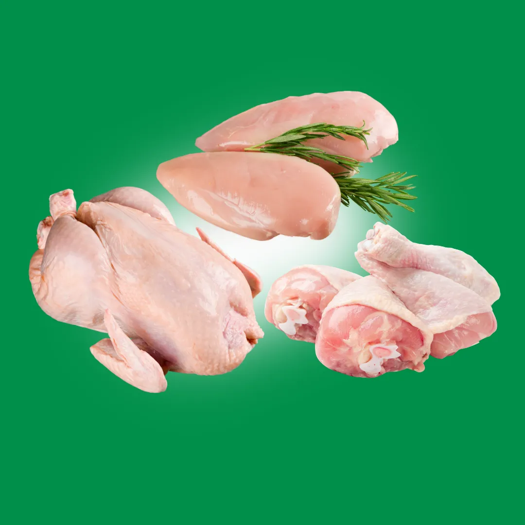 Fresh-Chicken-Meat-2-MEV Trader LTD Bulgaria